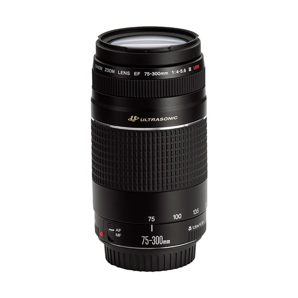 CANON EF 75-300 - Image 2